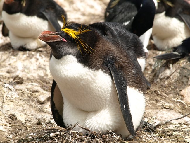 ../../Pictures/241209/021 Macaroni.JPG